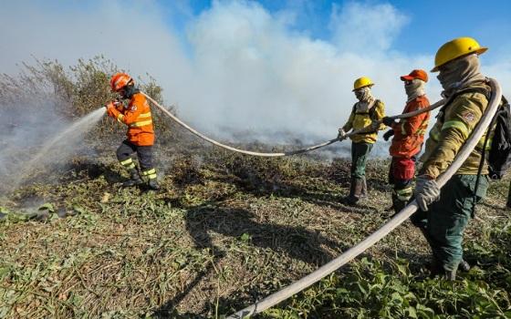 incêndio Primavera do Leste