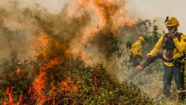 Fogo já destruiu área maior que Sergipe no Pantanal