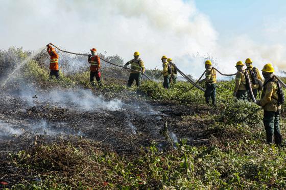 bombeiros - incendios florestais