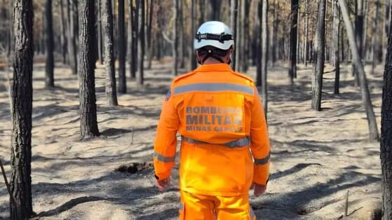 Incêndio na floresta Faber-Castell 