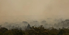 Parque de Brasília: fogo vira subterrâneo mas pode voltar à superfície