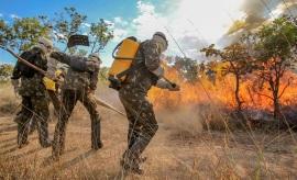 Exército monta base no Pantanal para combater incêndios