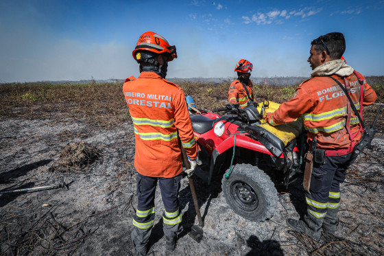 Audiência conjunta da ALMT e Senado discute prevenção e combate aos incêndios no Pantanal