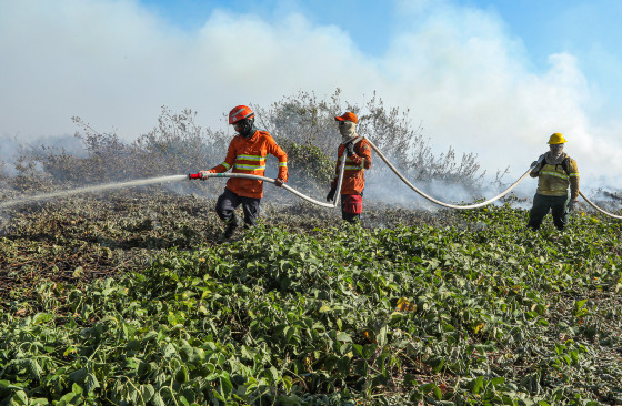 Corpo de Bombeiros