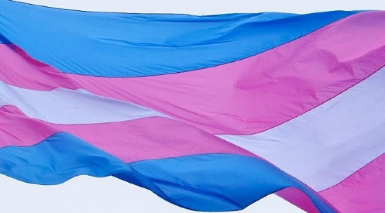 bandeira trans