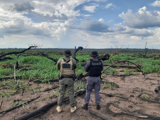 operação abafa amazonia