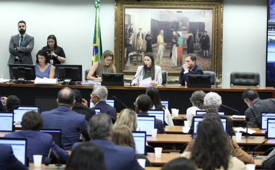  CCJ da Câmara aprovou proposta que acaba com as possibilidades de aborto legal no Brasil