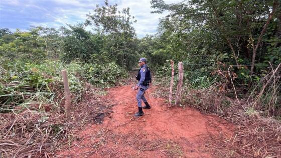 Grileiros tentam invadir terreno