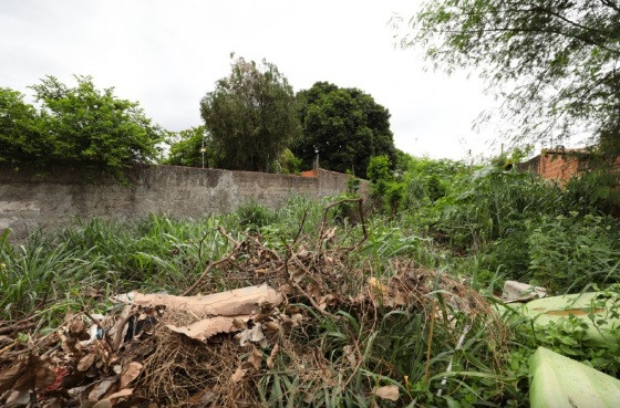 terreno baldio 