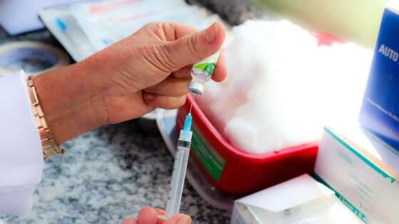 A influenza é causada pelos tipos A, B, C e D, sendo os vírus A e B responsáveis por epidemias sazonais em seres humanos. 