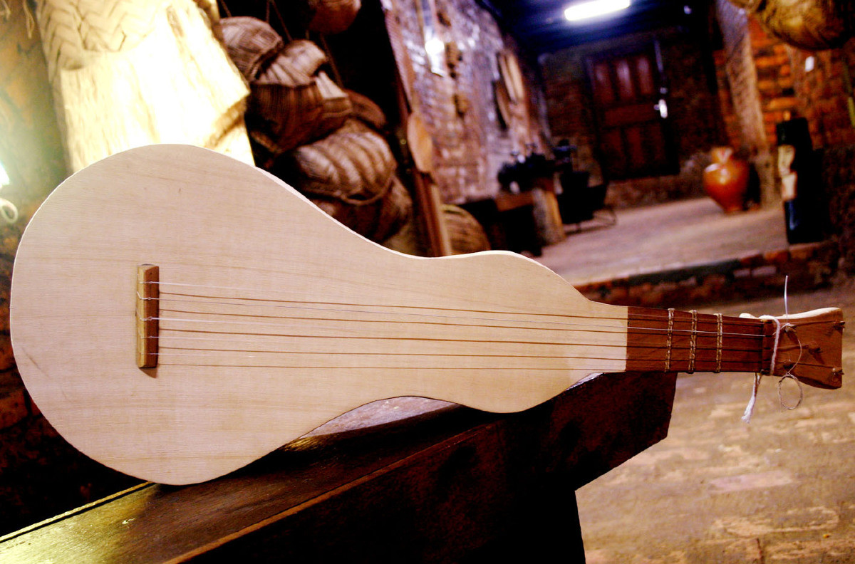 Viola de cocho