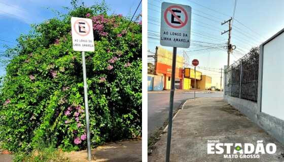 Arbusto podado na rua Ametista no Bosque da Saúde