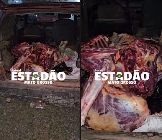 Carne de cavalo