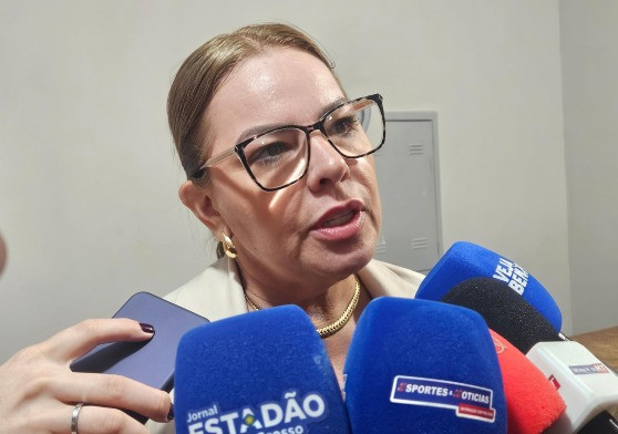Paula Calil afirma que decisão judicial cria impacto direto nas contas da Câmara