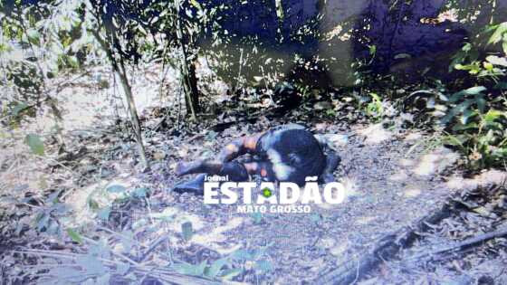 EXECUÇÃO EM SINOP 