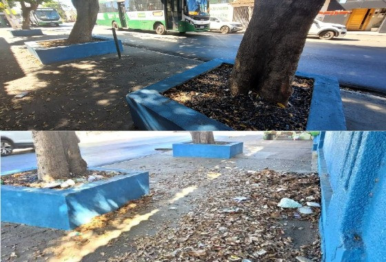 Limpeza no bairro Poção 