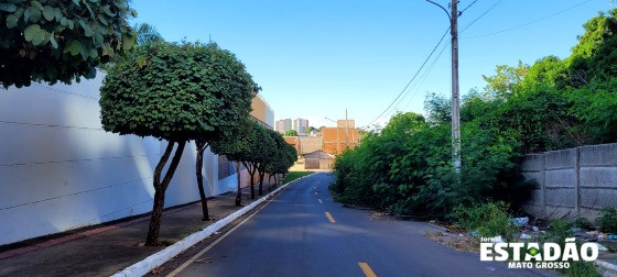 Trecho da Rua Senador Teotônio Vilela tomado pelo mato preocupa quem transita no local