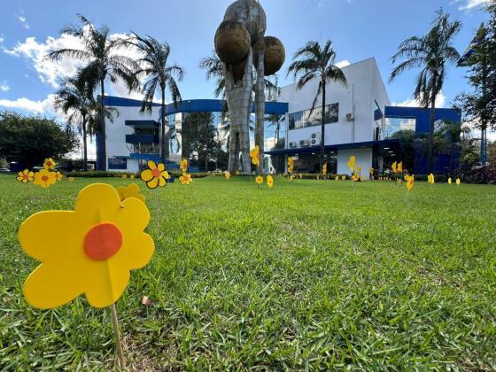 flores