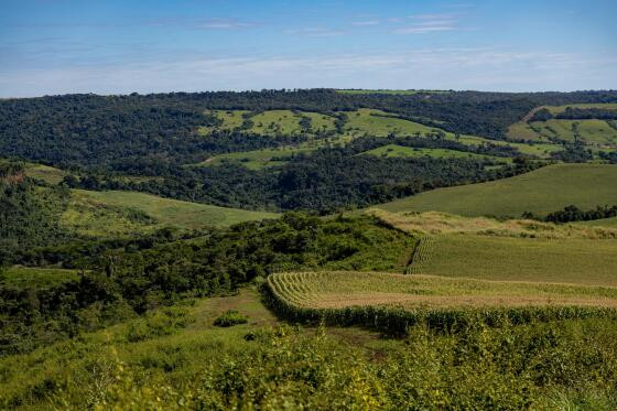 FAZENDA PRESERVAÇÃO APROSOJA