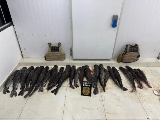 Pescado
