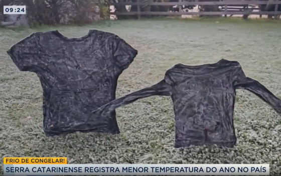 Camiseta congelada