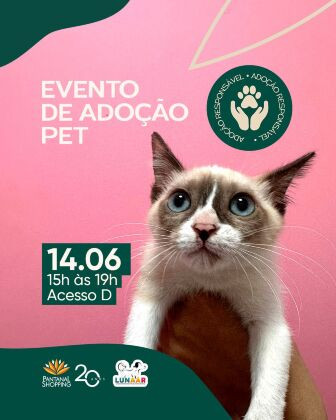 gato