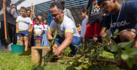 Prefeitura de Rondonópolis vai plantar pomares por toda a cidade