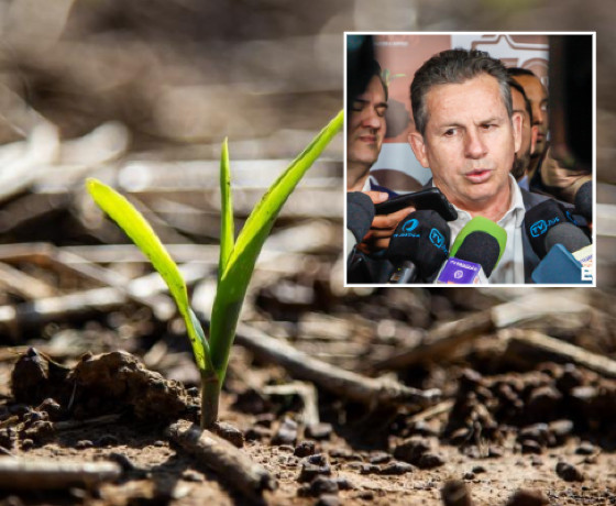 Governador Mauro Mendes fala sobre os riscos econômicos que Mato Grosso pode enfrentar com o bloqueio no Oriente Médio