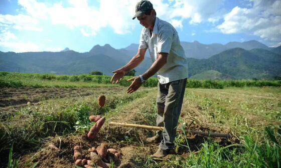 Governo Federal cria o Programa de Projetos Sustentáveis.