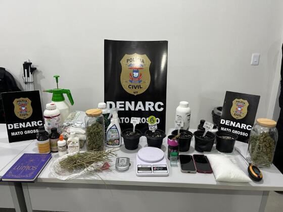 trafico de drogas