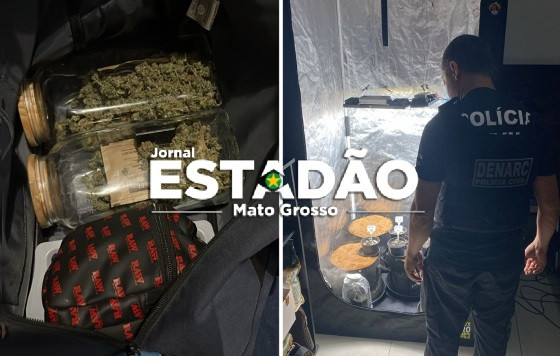 filha mauren - operçaão western