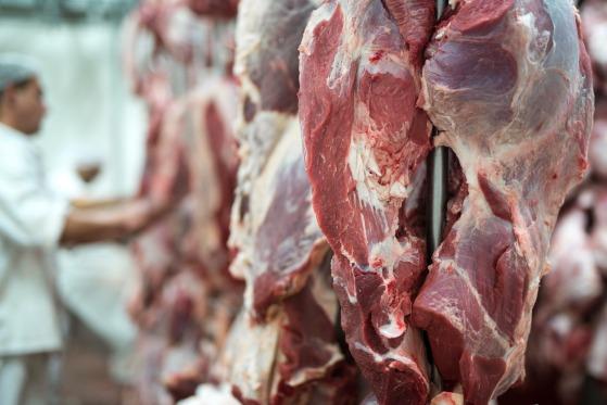 carnes