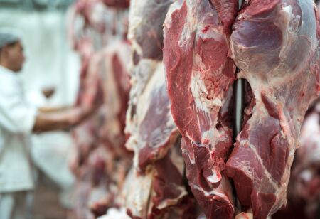 Mato Grosso bate recorde histórico em abate de gado para o mês de junho