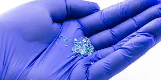 Microplasticos