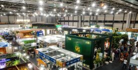 FIT Pantanal movimenta R$ 37 milhões em quatro dias e vira modelo para cinco estados