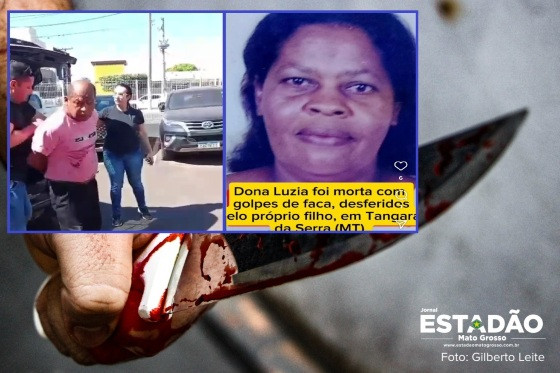 Ronaldo foi preso em flagrante após matar a mãe com 14 facadas