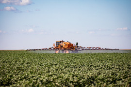 MT puxa alta na estimativa de produção agrícola e consolida liderança nacional