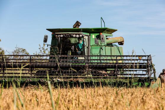 agrícola nacional