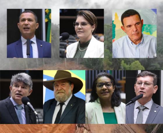 Deputados federais por Mato Grosso