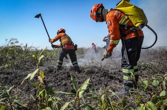 Bombeiros
