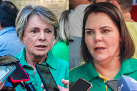 Discussão entre parlamentares gera afastamento temporário de Buzetti