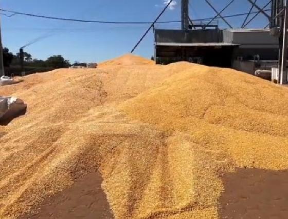 Safra recorde pressiona capacidade de estocagem e desafia logística agrícola