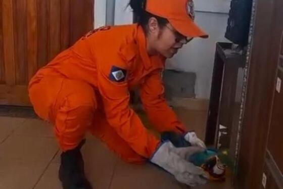 Bombeiros