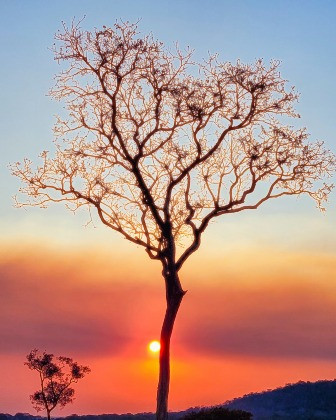 Temperatura mínima foi de 15°C, mas máxima prevista é de 30°C.