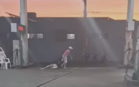 VIOLENCIA MULHER POSTO